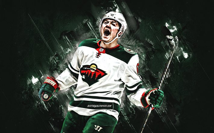 Ryan Donato, Minnesota Wild, NHL, american hockey player, portrait, National Hockey League, hockey