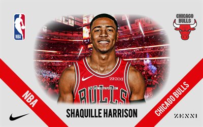 Shaquille Harrison, Chicago Bulls, American Basketball Player, NBA, portrait, USA, basketball, United Center, Chicago Bulls logo