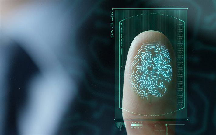 Fingerprint identification, digital fingerprint, safety concepts, security, personal identification