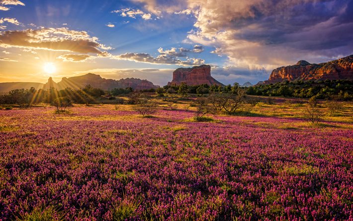 Red Rock State Park, 4k, p&#244;r do sol, deserto, bela natureza, Sedona, Arizona, EUA, Am&#233;rica, american marcos