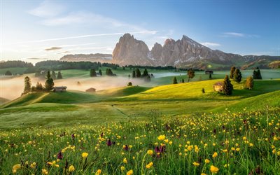 Italia, dolomitas, montes, prados, niebla, Alpes, Europa