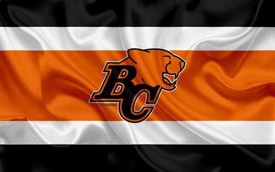 BC Lions, 4k, logo, silkki tekstuuri, Kanadalainen jalkapallo joukkue, CFL, tunnus, silkki lippu, Vancouver, British Columbia, Kanada, Canadian Football League