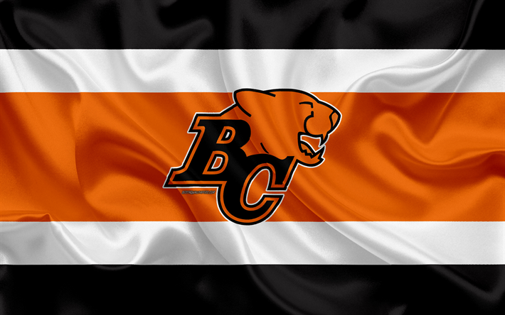 BC Lions, 4k, logo, silk texture, Canadian football team, CFL, emblem, silk flag, Vancouver, British Columbia, Canada, Canadian Football League