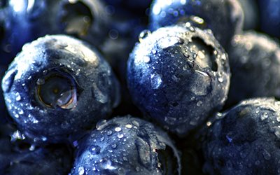 blueberries, close-up, fresh fruit, berries, dew, fruits