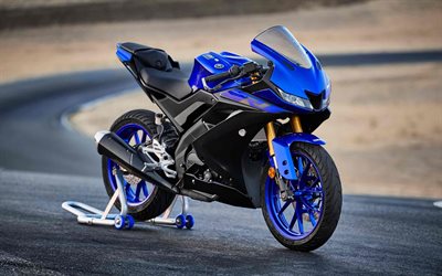 Yamaha YZF-R125, Yarış Pisti, 2019 bisiklet, superbikes, Japon motosikletler, 2019 Yamaha YZF-R125, Yamaha