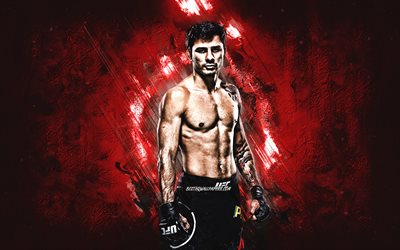 アレクサンドル-Pantoja, UFC, ブラジル戦闘機, 肖像, 赤石の背景, 格闘大会