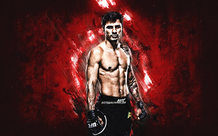 Alexandre Pantoja, UFC, Brazilian fighter, portrait, red stone background, Ultimate Fighting Championship