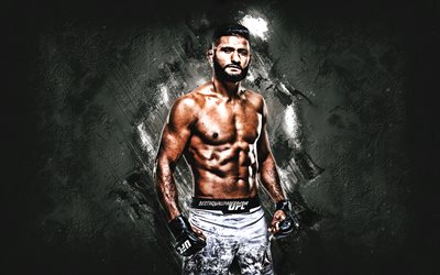 Dhiego Lima, UFC, MMA, Brezilyalı D&#246;v&#252;ş&#231;&#252;, portre, gri taş arka plan, Ultimate Fighting Championship