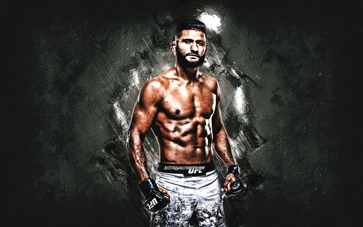 Dhiego Lima, UFC, MMA, Brazilian fighter, portrait, gray stone background, Ultimate Fighting Championship