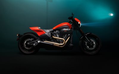 Harley-Davidson Softail FXDR114 Hero, cruisers, 2020 bikes, side view, american motorcycles, Harley-Davidson