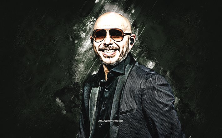 Pitbull-Armando Christian Perez Acosta, Amerikalı rap&#231;i, portre, gri taş arka plan, yaratıcı sanat