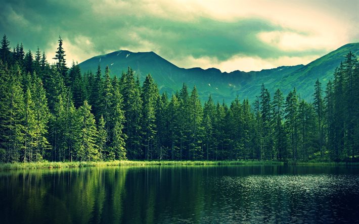 lago de montanha, p&#244;r do sol, noite, paisagem de montanha, floresta, ver&#227;o, &#225;rvores verdes