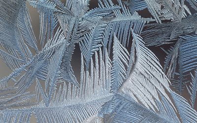 cam Don desen, 4k, gri backgrund frost, frost dokular, Don, cam &#252;zerinde, buz kalıpları, gri backgrunds