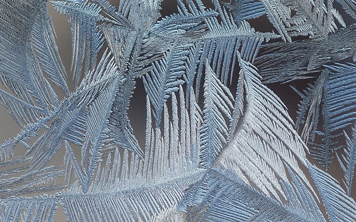 霜パターン, 4k, グレー霜backgrund, 霜質感, 霜ガラス, 氷パターン, グレー backgrunds, 霜パターンをガラス