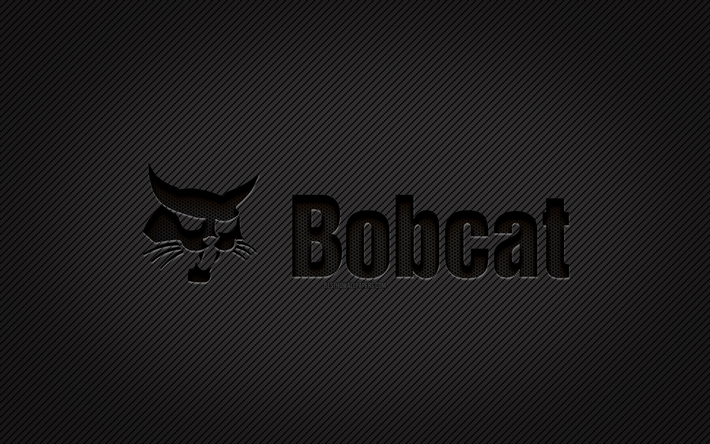 bobcat-carbon-logo, 4k, grunge-kunst, carbon-hintergrund, kreativ, bobcat-schwarz-logo, marken, bobcat-logo, bobcat