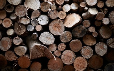 Wooden logs texture, wood texture, Wooden logs background, wood log texture, background with Wooden logs