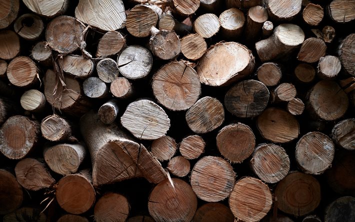 Toras de madeira de textura, textura de madeira, Toras de madeira de fundo, tora de madeira de textura, com fundo de Madeira em toras