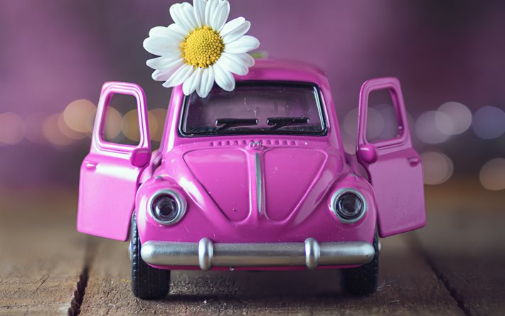 travel concepts, pink Volkswagen Beetle, pink toy car, travel, chamomile, tourism concepts