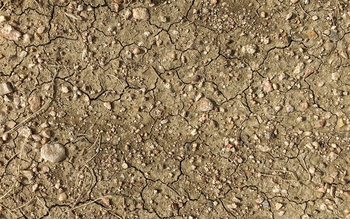 sec, sol, texture, Fissur&#233; Sol Sec, brun clair au sol de texture, motif d&#39;arri&#232;re-plan, texture des sols