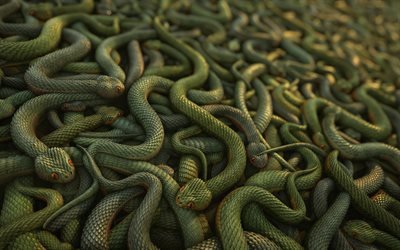 serpents 3d, fond avec des serpents, art 3d, serpents, serpents 3d verts