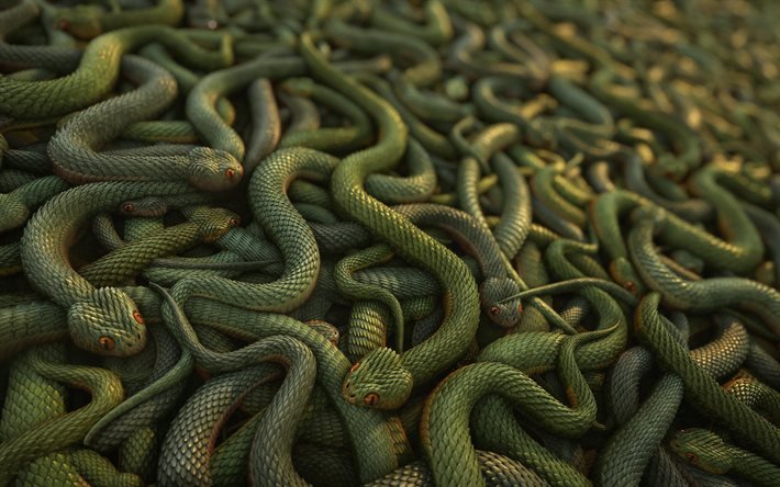 Serpenti 3d, sfondo con serpenti, arte 3d, serpenti, serpenti verdi 3d