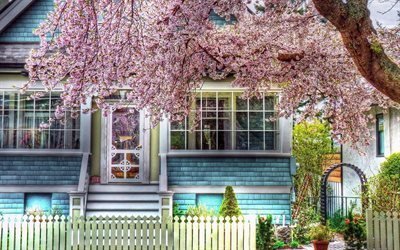 flowering tree, front garden, porch, house