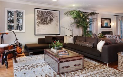 chest, sofa, guitar, living room interior, amplifier