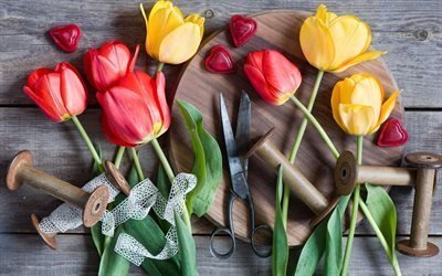 tape, scissors, coil, tulips