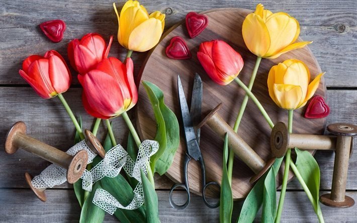 nastro, forbici, bobina, tulipani