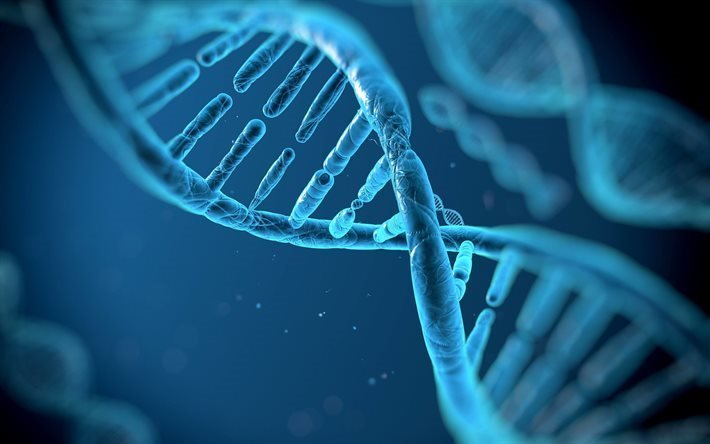 الملمس, العلوم, سلسلة الحمض النووي