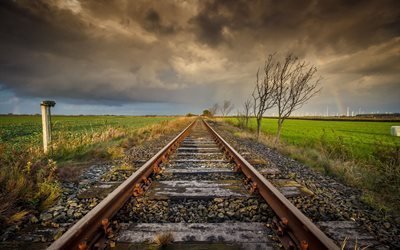 railroad tracks, gloomy day, field, trees