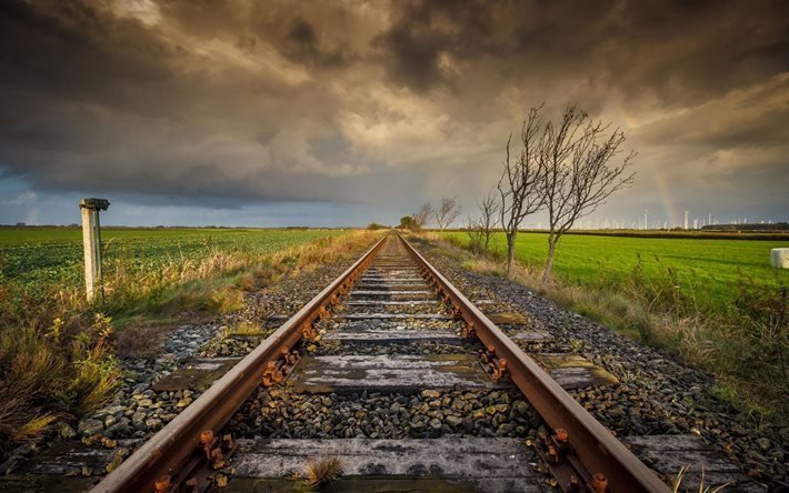 trilhos da estrada de ferro, dia sombrio, campo, &#225;rvores