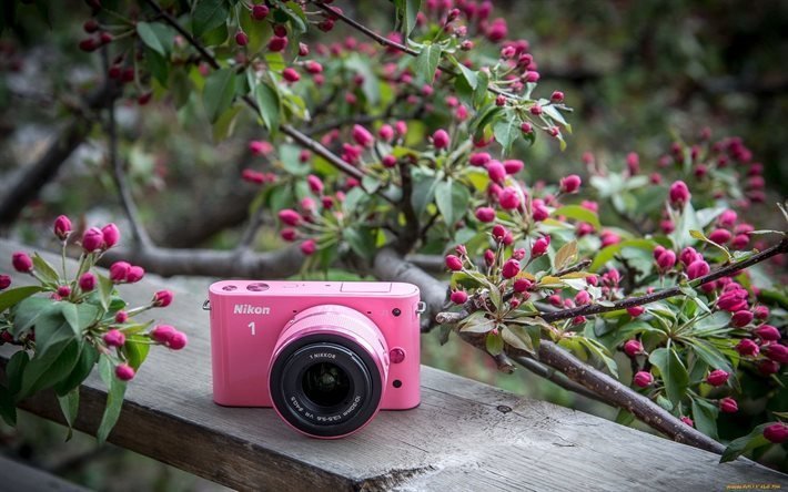 pink camera, garden, bench, nikon