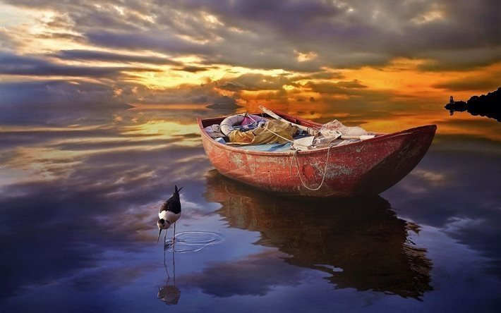 sunset, sea, boat