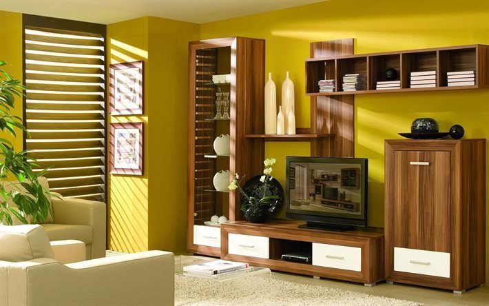 upholstered furniture, tv, wardrobe