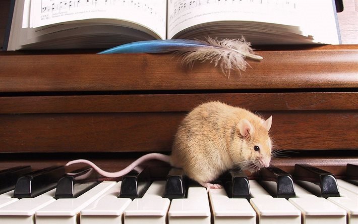 mouse, piano, note