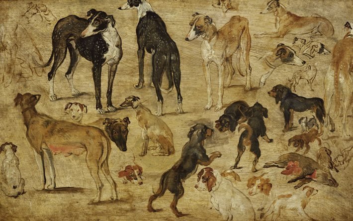 skisser av hundar, flaml&#228;ndsk m&#229;lare, jan brueghel, 1616