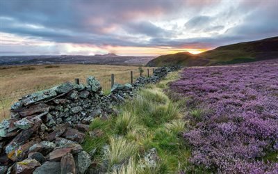 field, kameno fence, hills, scotland