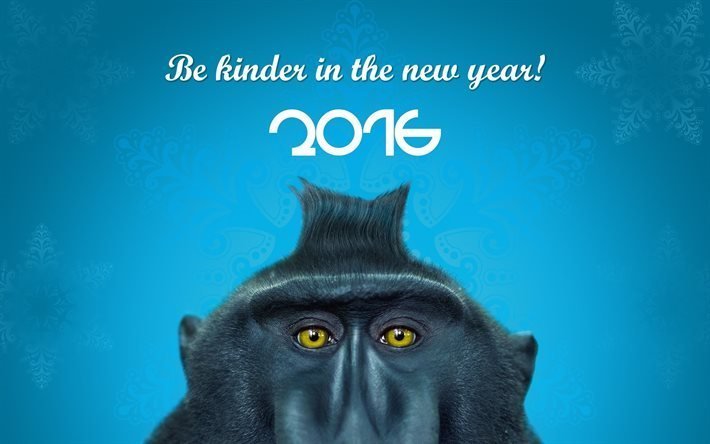 2016, uusi vuosi, vuonna apina