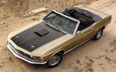 convertibile, 1969, mustang, ford