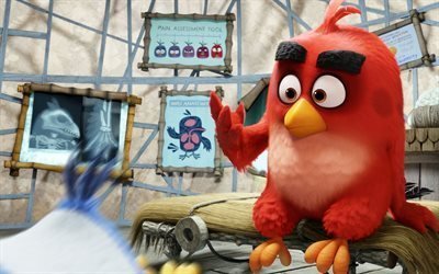 angry birds, de dibujos animados, 2016, comedia