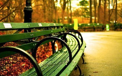 central park, new york, benches
