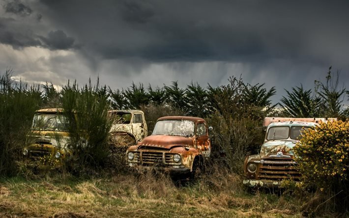 campo, grama, carros antigos