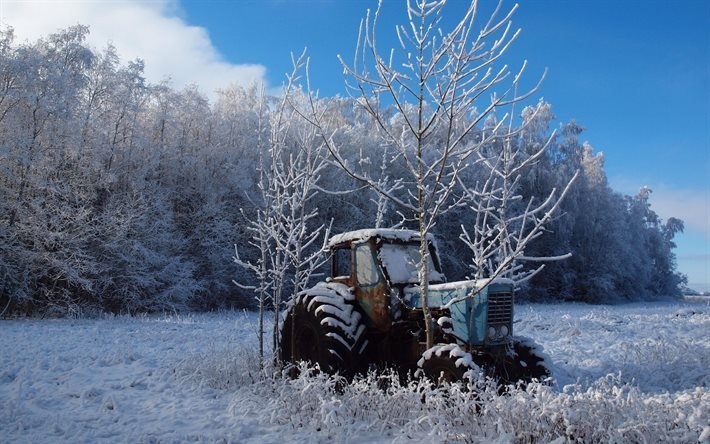winter, field, tractor