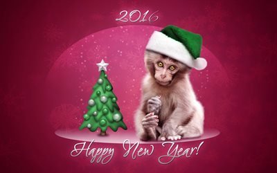 2016, new year, year of monkey