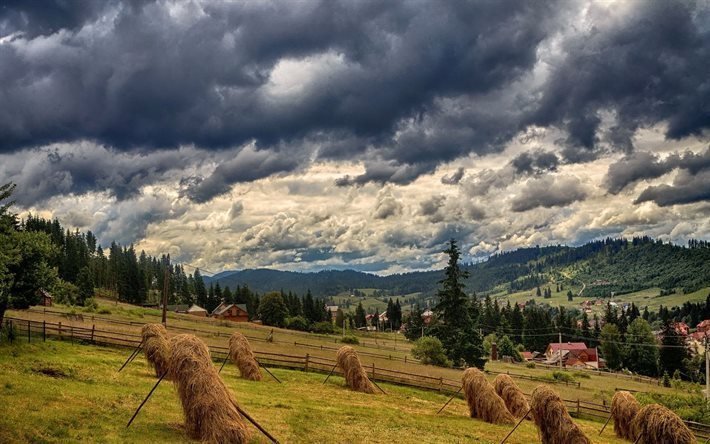 hay, forest, ukraine, carpathians, mountain landscape, bukovel