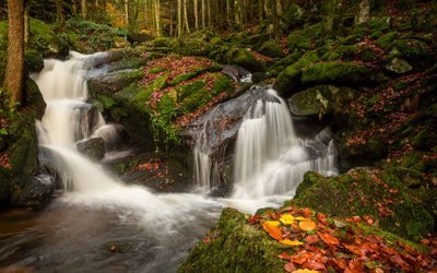 Waterfall, autumn, river, autumn forest, Auvergne, France