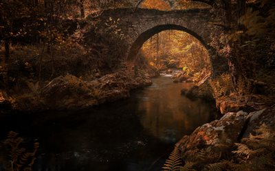 old stone bridge, autumn, river, forest, autumn landscape