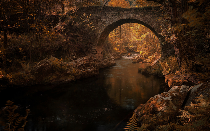 vecchio ponte di pietra, autunno, fiume, foresta, paesaggio
