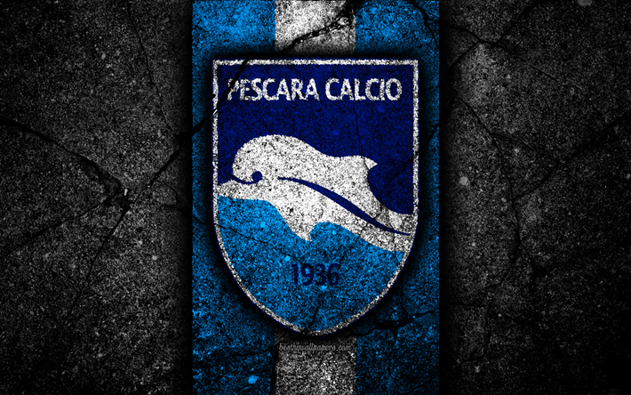 4k, Delfino Pescara FC, logo, Serie B, calcio, pietra nera, il calcio italiano di club, emblema, Delfino Pescara, asfalto texture, Italia, FC Delfino Pescara